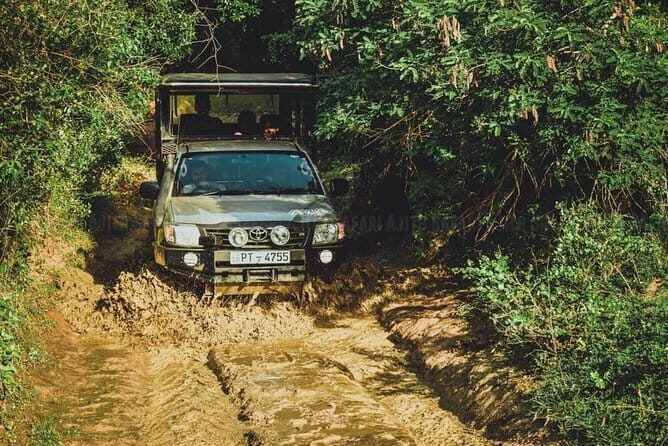 Yala National Park Guided Safaris - The Sum Up