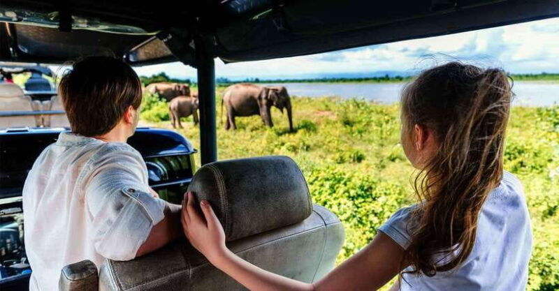 Yala National Park Half or Full-Day Safari - What to Expect from Your Yala Safari