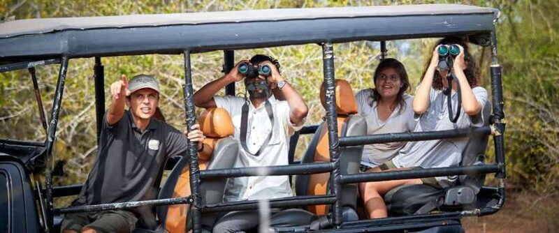Yala National Park Jeep Safari: Leopards, Elephants & Wild - What Tourists Are Saying