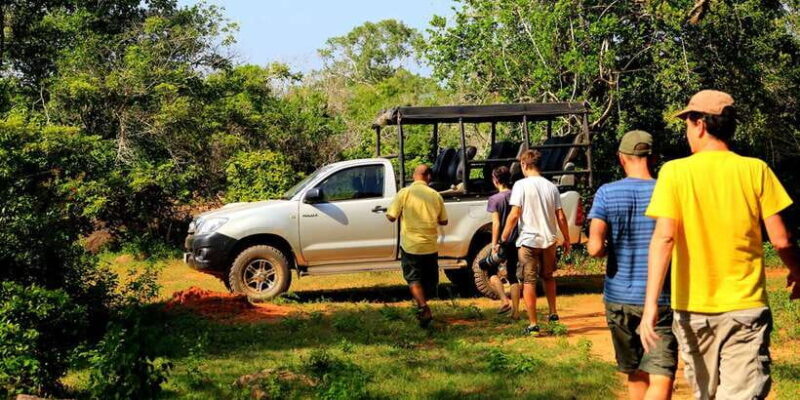 Yala National Park: Leopard Safari Full day tour with Lunch - Key Points
