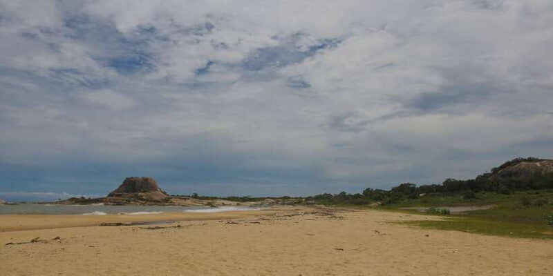 Yala National Park: Leopard Safari Full day tour with Lunch - Final Thoughts