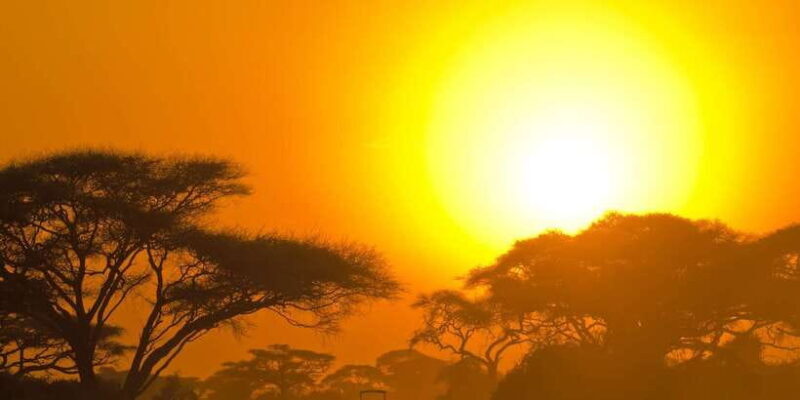 Yala National Park: Leopard Safari Full day tour with Lunch - Who Should Consider This Tour?