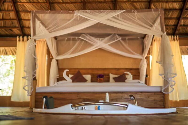 Yala National Park : Luxury Camping Adventure & Safaris - An In-Depth Look at the Yala Safari & Luxury Camping Experience