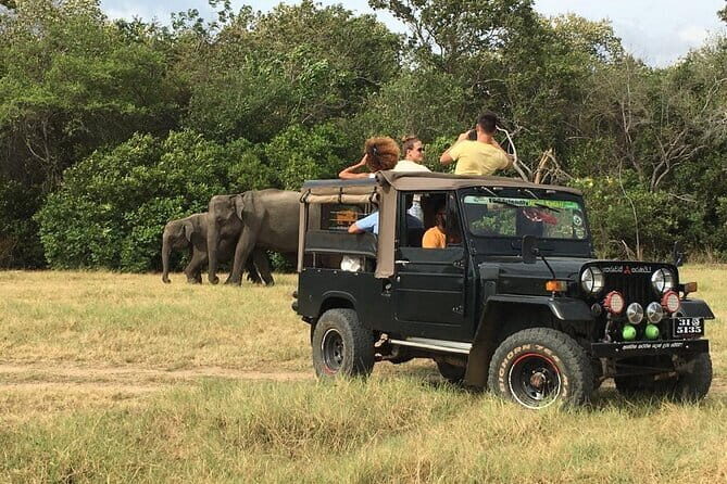 Yala National Park Private Jeep Safari From Colombo & Negombo - The Experience of the Drive and the Park