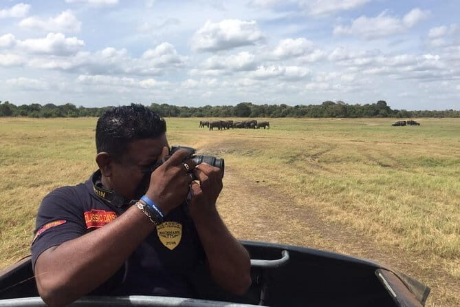 Yala National Park Private Jeep Safari From Colombo & Negombo - Who Should Book This Tour?
