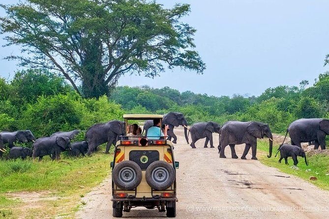 Yala National Park Private Safari (All Inclusive) From Mirissa - Key Points