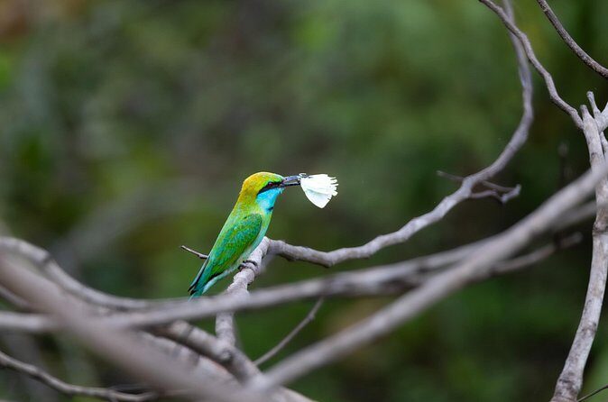 Yala National Park Private Tour with Fast Entry - Who Is This Tour For?