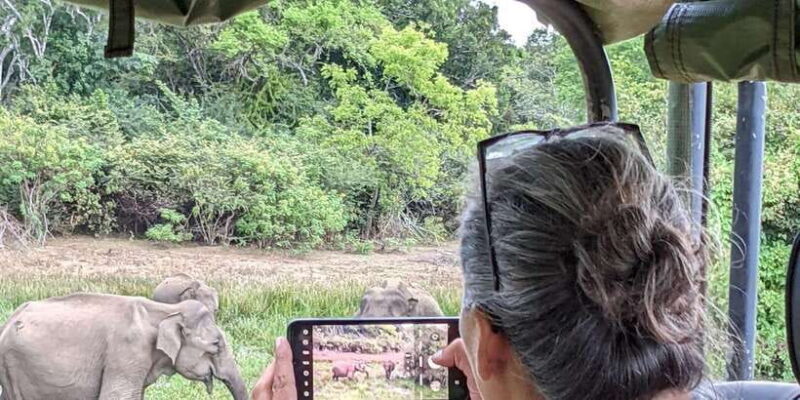 Yala National Park Safari 2 Options (7 hour & 12 hour) - The Itinerary in Detail