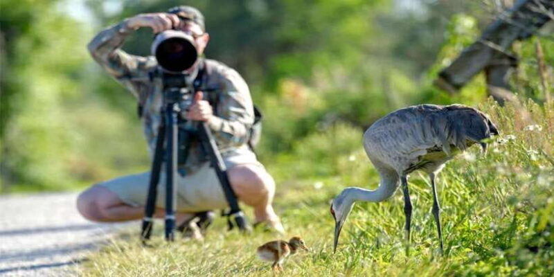 Yala National Park Safari 2 Options (7 hour & 12 hour) - Who Would Love This Safari?