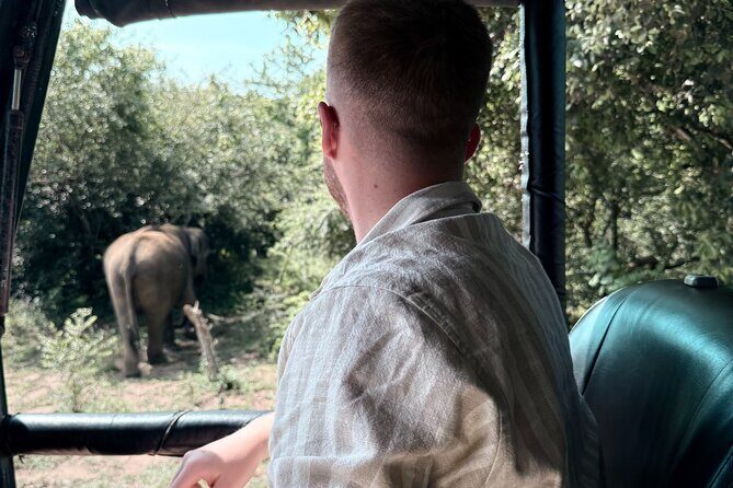 Yala National Park Safari FULLDAY and HALFDAY Expert Guided Tour - What to Expect from the Yala Safari Experience
