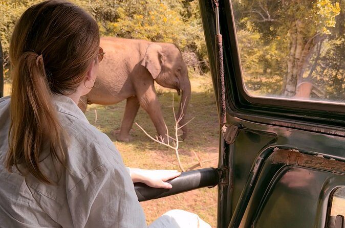 Yala National Park Safari FULLDAY and HALFDAY Expert Guided Tour - Practical Details