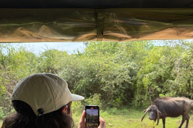 Yala National Park Safari FULLDAY and HALFDAY Expert Guided Tour - FAQs
