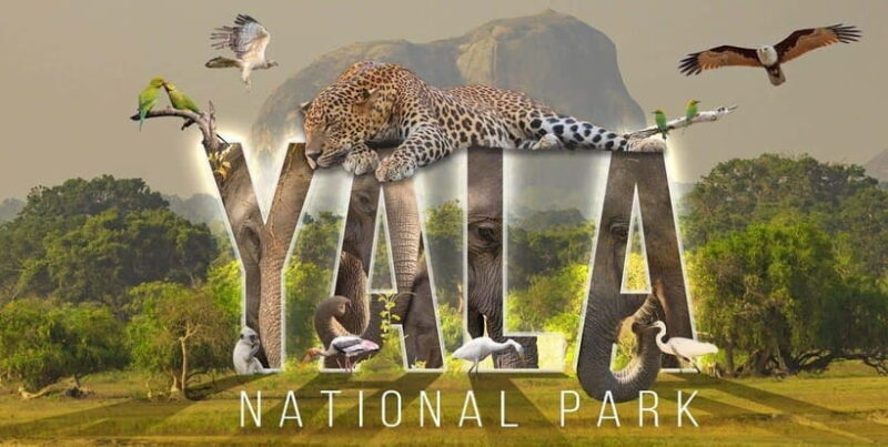 "Yala National Park Safari-Half-Day Safari Guided Adventure" - Yala National Park Safari - Half-Day Guided Adventure