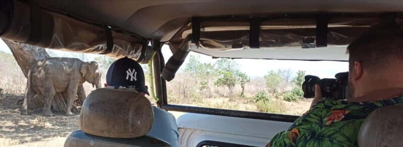 Yala National park Safari Tour From Colombo / Galle - Exploring the Yala Safari Tour: What You Can Expect