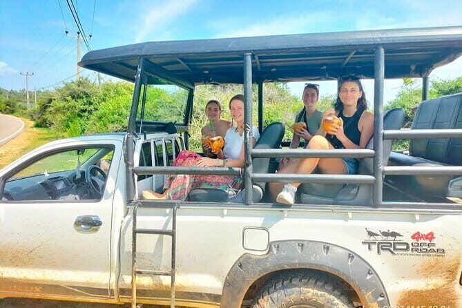 Yala National Park Safari Tours from Hambantota Port - In-Depth Look at the Itinerary