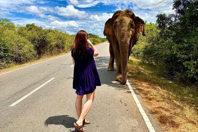 Yala National Park Shared Safari Tour Morning Evening & Full Day - Key Points