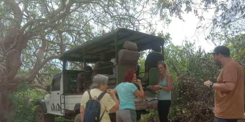 Yala National Park Sharing Safari (5 Hours) - Exploring Yala: A Closer Look at the 5-Hour Safari