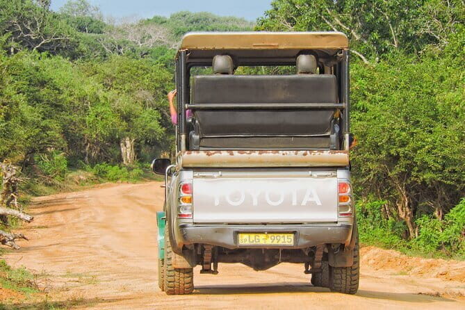 Yala National Park special Half-Day & Full-Day Safari Adventure - FAQ