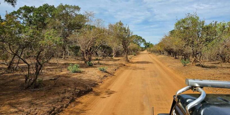 Yala National Park Wildlife safari from Bentota - In-Depth Review of the Yala Safari Experience