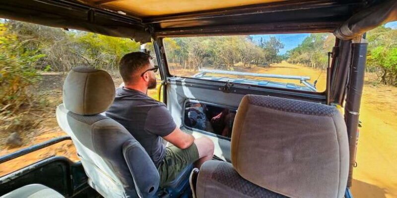Yala National Park Wildlife safari from Bentota - Who Is This Tour Best For?