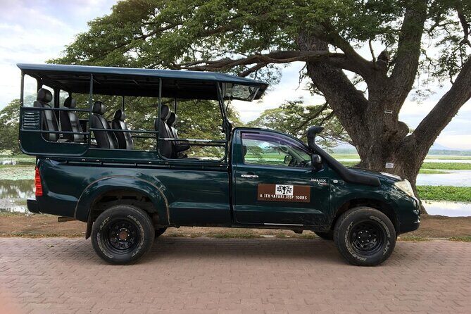 Yala National Park Wildlife Safari/ Game Drive - by Ajith Safari - Exploring Yala National Park with Ajith Safari: An Honest Review