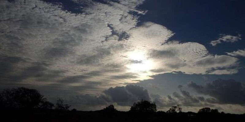 Yala: Night Drive in Yala National Park Buffer Zone! - Why Choose This Night Drive?