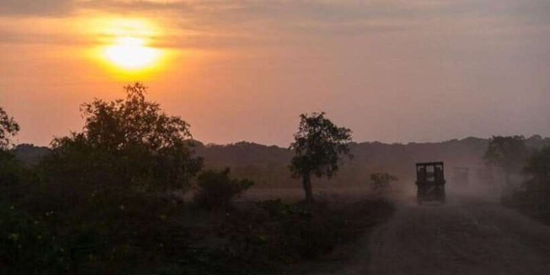 Yala: Night Drive in Yala National Park Buffer Zone! - Who Will Love This Experience?