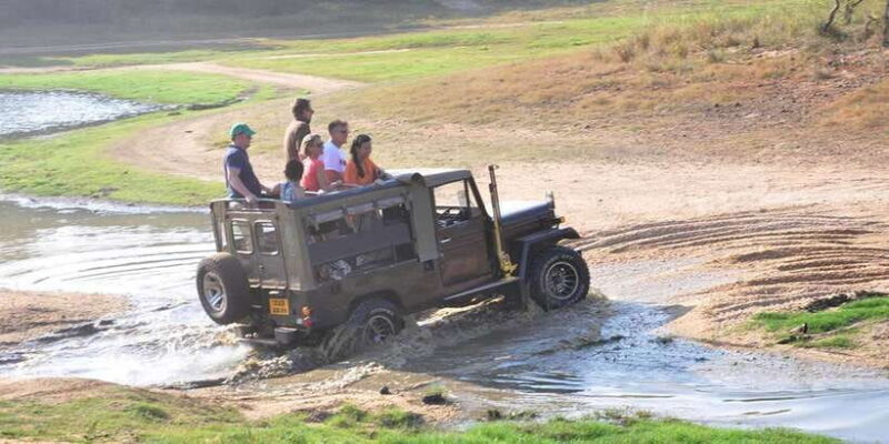 Yala Private Safari: Half-Day or Full-Day with Picnic Lunch - Who Should Consider This Tour?