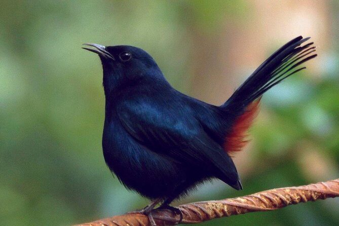 Yala Safari by Yala Safari Wonders - Exploring the Yala Safari by Yala Safari Wonders