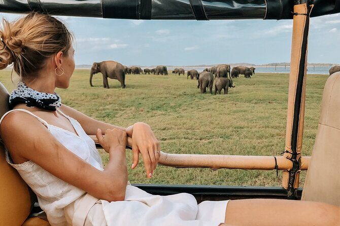 Yala Safari Day Trip from Mirissa/Weligama/Galle/Tangalle areas - FAQs