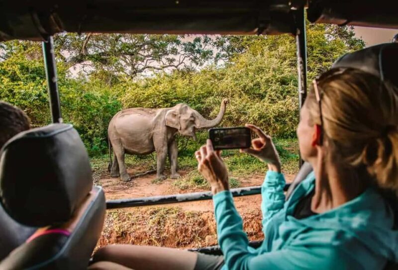 Yala Safari Morning/Evening, 7hours & 12 hours incl. Meals!! - Discover the Wonders of Yala with a Trusted Safari Experience