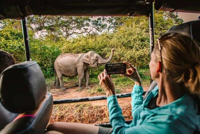 Yala Safari Tour from Hambantota Port by Ajith Safaris - A Close-Up Look at the Yala Safari Tour from Hambantota Port by Ajith Safaris