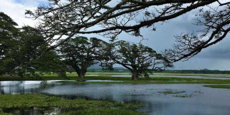 Yala: Sunset Tour by Boat & Beach BBQ Dinner! - Discover the Beauty of Sri Lanka’s Water and Coastline with the Yala Sunset Tour