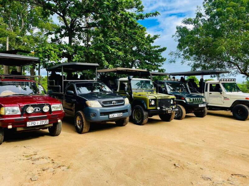 Yala, Udawalawe Safari & Elephant Home Lifetime Experience - A Deep Dive into the Udawalawe Safari & Elephant Home Experience