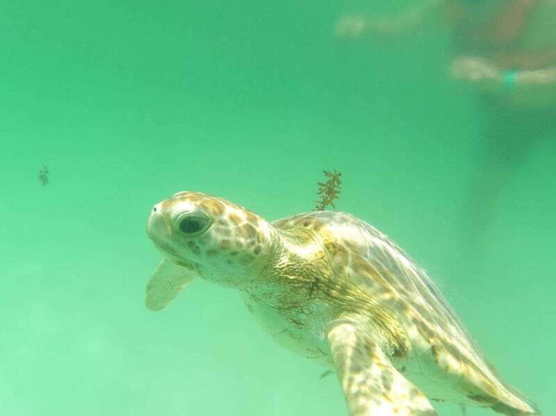 Yalku :Akumal snorkeling Muuch Kay Ecopark - Deep Dive: What Makes Muuch-Kay Ecopark Special?