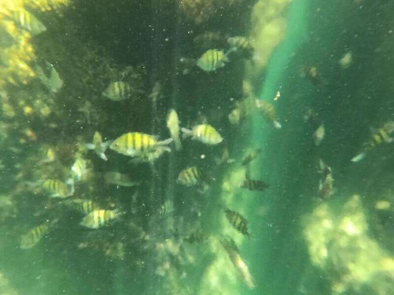 Yalku :Akumal snorkeling Muuch Kay Ecopark - Final thoughts: Is Muuch-Kay Ecopark right for you?