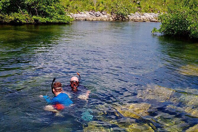 Yalku lagoon and turtles akumal sanctuary - Experience the Magic of Akumal and Yalku Lagoon: A Detailed Review