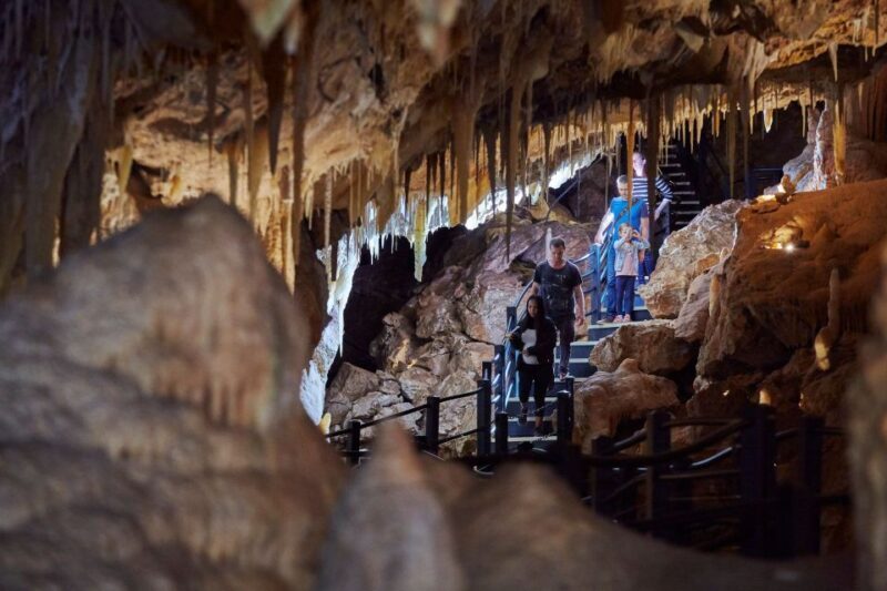 Yallingup: Ngilgi Cave Ancient Lands Experience - Yallingup: Ngilgi Cave Ancient Lands Experience – A Detailed Review
