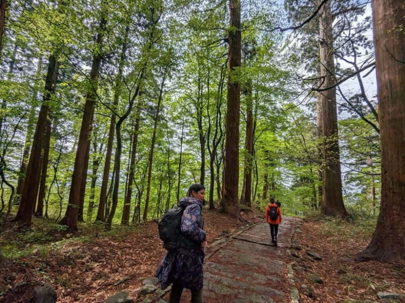 Yamagata / Yamadera Private Trip with Licensed Guide - Frequently Asked Questions