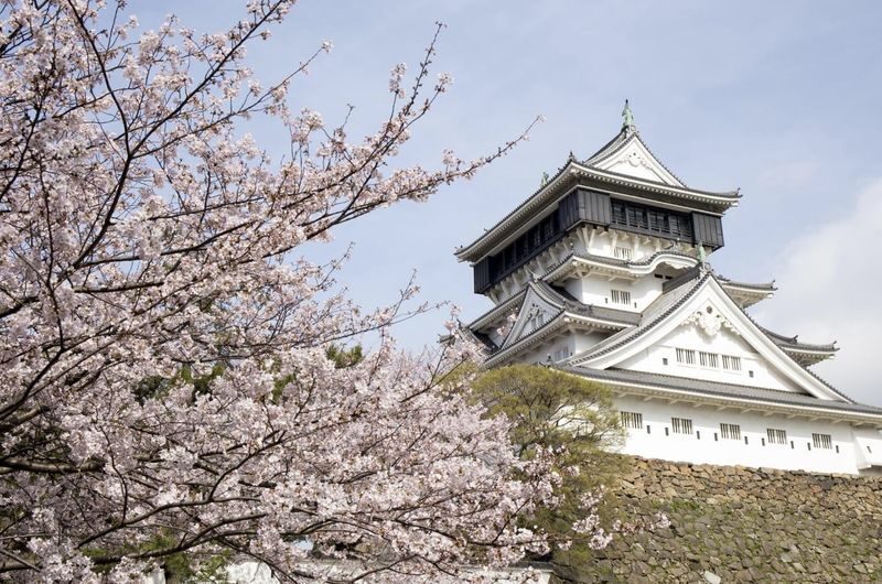 Yamaguchi chartered car day tour (customized itinerary) | Tsunoshima Bridge, Motonosumi Shrine, Senjojiki, Akiyoshidai / Akiyoshido Cave, Beppu Benten Pond, Karato Market, Kanmon Bridge, etc. - Akiyoshido Cave trades open views for a hidden world