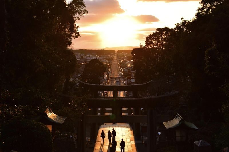 Yamaguchi chartered car day tour (customized itinerary) | Tsunoshima Bridge, Motonosumi Shrine, Senjojiki, Akiyoshidai / Akiyoshido Cave, Beppu Benten Pond, Karato Market, Kanmon Bridge, etc. - Add a market, pond or strait only if it fits