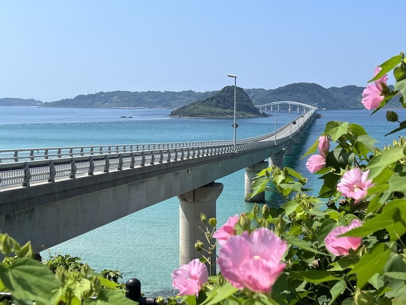 Yamaguchi Nagato One-Day Tour | Motonosumi Shrine, Tsunoshima Bridge, Nagato Yumoto Onsen | Departing from Fukuoka Hakata - Crossing the Kanmon Strait