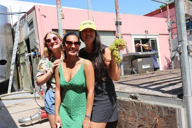 "YAMAS" - Winery tour &wine tasting - The Sum Up