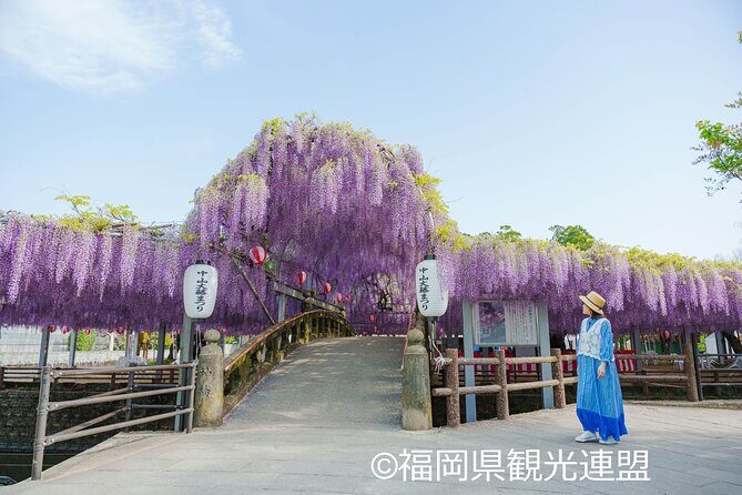 Yanagawa Great Wisteria and Traditional Canal Boat Experience - FAQs