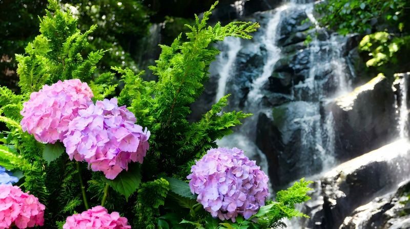 Yanagawa & Itoshima Day Tour - Dazaifu Tenmangu gives the day a cultural anchor