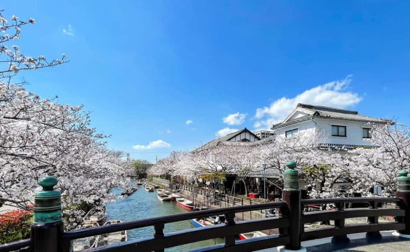 Yanagawa: Original Boat Tour - Exploring Yanagawa on the Water: What You Can Expect