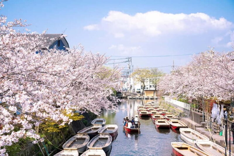Yanagawa: Original Boat Tour - Authentic and Accessible: The Experience in Detail