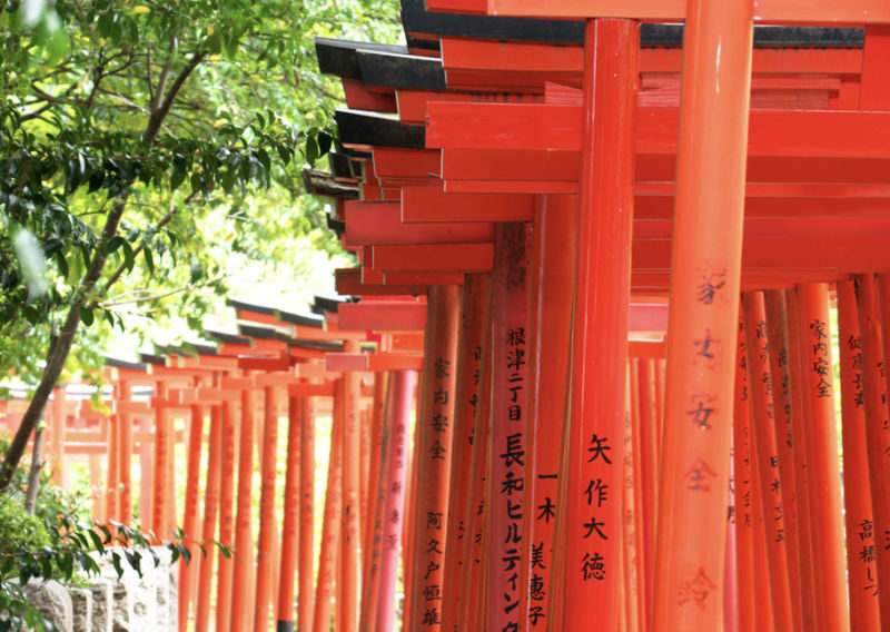 Yanaka Ginza & Nezu Shrine Half-Day Historical Walking Tour - A guided walk through two distinct Tokyo stops