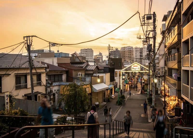 Yanaka Ginza & Nezu Shrine Half-Day Historical Walking Tour - What the guide-led format adds