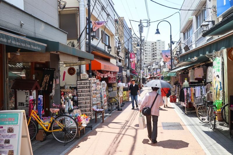 Yanaka Historical City Exploration Walking Tour in Tokyos Old Town - Walking Hebi-michi and stopping at a local gallery